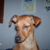 Photo de Nini