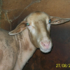 Photo de Laly