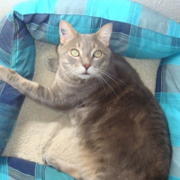 Photo de profil de Moustick