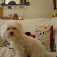 Photo de profil de Chanel