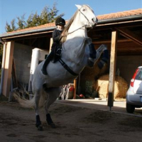 Photo de profil de Manolita
