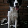Photo de Eos