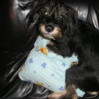 Photo de profil de Max