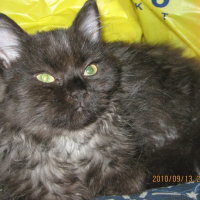 Photo de profil de Molly