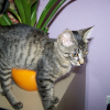Photo de Lilith