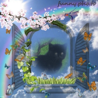Photo de profil de Onyx