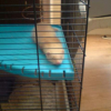 Photo de Lola