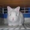 Photo de Teddy