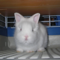 Photo de profil de Teddy