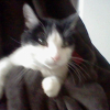 Photo de Bounty