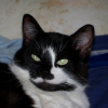 Photo de Teyla