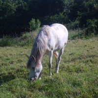 Photo de profil de Princesse