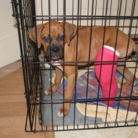 Photo de profil de Rosie lalune