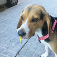 Photo de profil de Bubu