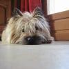 Photo de Uky