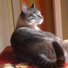 Photo de Snoupy