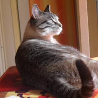 Photo de profil de Snoupy