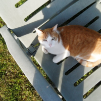 Photo de profil de Cacahète