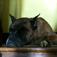 Photo de profil de Rita
