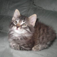 Photo de profil de Léo