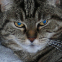 Photo de profil de Greta