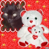 Photo de Wolfi
