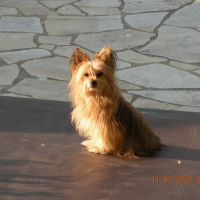 Photo de profil de Yona