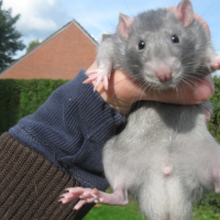 Photo de profil de Uncas