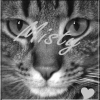Photo de profil de Misty