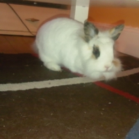 Photo de profil de Mimi