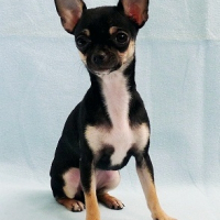 Photo de profil de Lya