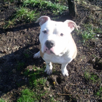 Photo de profil de Elton