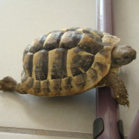 Photo de profil de Doremi