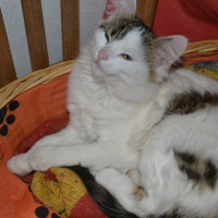 Photo de profil de Muguet