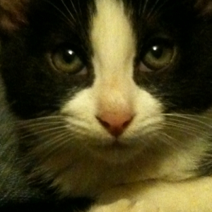 Photo de profil de Cyane