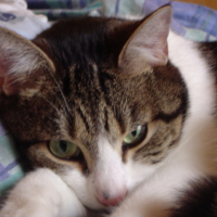 Photo de profil de Beamen