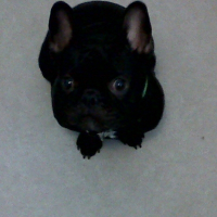 Photo de profil de Tyson