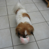 Photo de Bouly