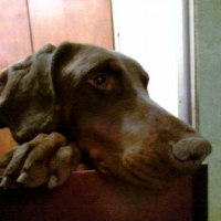 Photo de profil de Caligula
