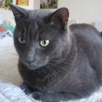 Photo de profil de Sirius