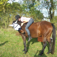 Photo de profil de Fire blade