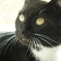 Photo de profil de Cash