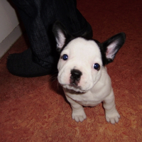 Photo de profil de Fibee