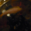 Photo de Citron