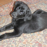Photo de profil de Fidji