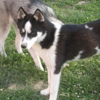Photo de profil de Enala