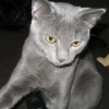 Photo de Pilou