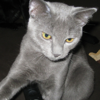 Photo de profil de Pilou
