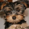 Photo de Freezby