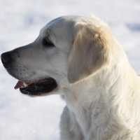 Photo de profil de Maïa